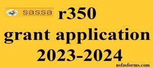 sassa grant application 2023-2024