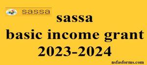 sassa basic income grant 2023-2024