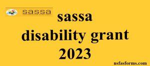 sassa disability grant 2023