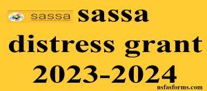 sassa distress grant 2023-2024