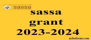 sassa grant 2023-2024