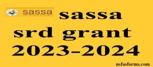 sassa srd grant 2023-2024