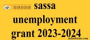 sassa unemployment grant 2023-2024