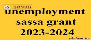 unemployment sassa grant 2023-2024