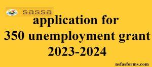 application for r350 unemployment grant 2023-2024