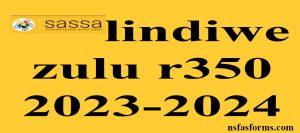 lindiwe zulu r350 2023-2024