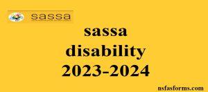 sassa disability 2023-2024