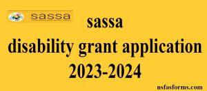 sassa disability grant application 2023-2024