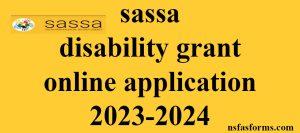 sassa disability grant online application 2023-2024