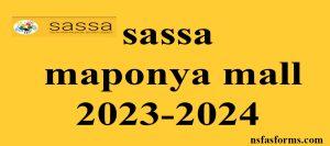 sassa maponya mall 2023-2024