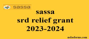 sassa srd relief grant 2023-2024