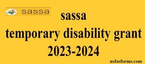 sassa temporary disability grant 2023-2024