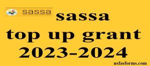 sassa top up grant 2023-2024