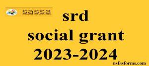 srd social grant 2023-2024