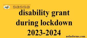 disability grant during lockdown 2023-2024