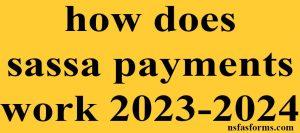 how does sassa payments work 2023-2024
