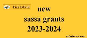 new sassa grants 2023-2024
