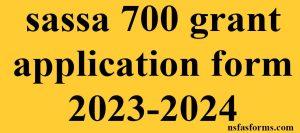 sassa 700 grant application form 2023-2024