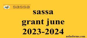sassa grant june 2023-2024