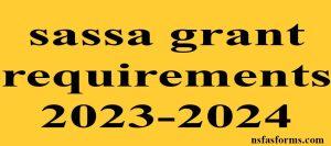 sassa grant requirements 2023-2024