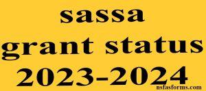 sassa grant status 2023-2024
