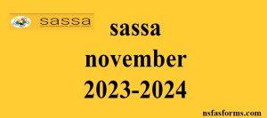 why is my sassa money not in. sassa otp code. can i apply for sassa online, sassa news. appeal for r350 grant.
