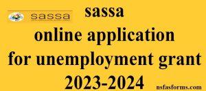 sassa online application for unemployment grant 2023-2024