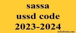 sassa ussd code 2023-2024