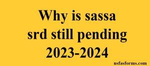 Why is sassa srd still pending 2023-2024