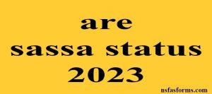 are sassa status 2023
