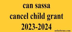 can sassa cancel child grant 2023-2024