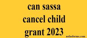 can sassa cancel child grant 2023