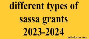 different types of sassa grants 2023-2024