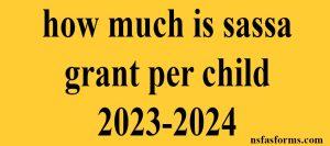 how much is sassa grant per child 2023-2024