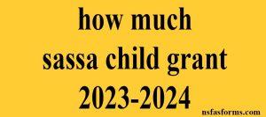 how much sassa child grant 2023-2024