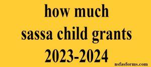 how much sassa child grants 2023-2024