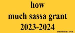 how much sassa grant 2023-2024