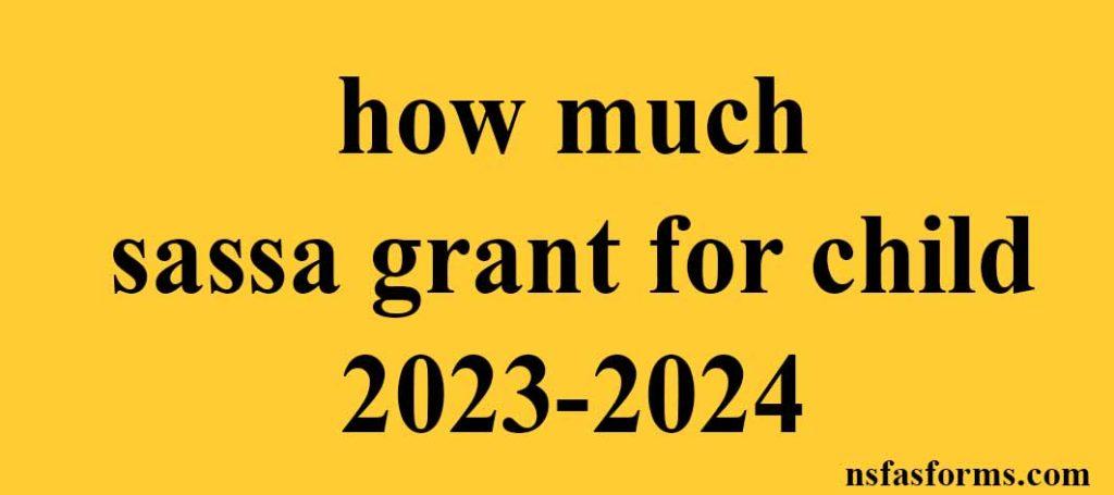 how-much-sassa-grant-for-child-2023-2024