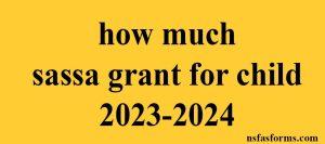 how much sassa grant for child 2023-2024