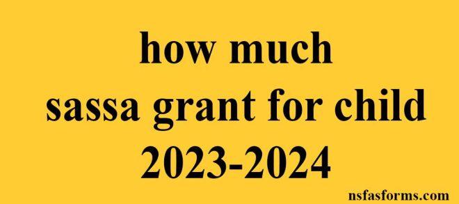 how-much-sassa-grant-for-child-2023-2024