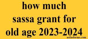 how much sassa grant for old age 2023-2024