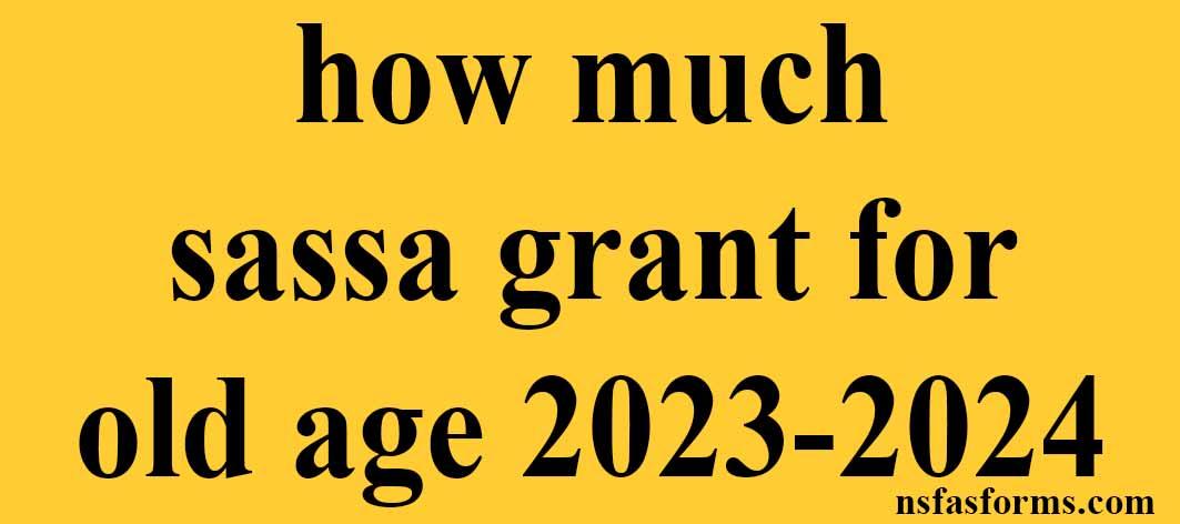 how-much-sassa-grant-for-old-age-2023-2024