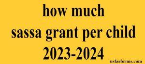 how much sassa grant per child 2023-2024