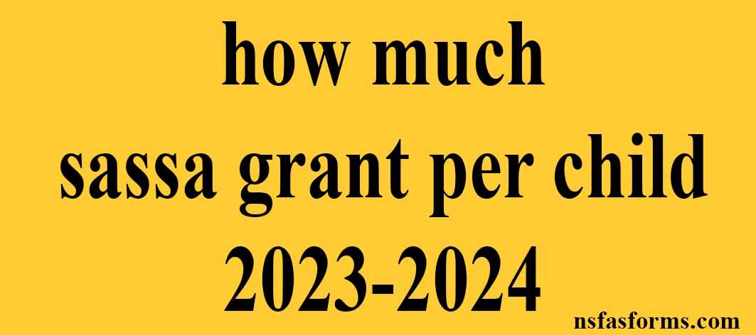 How Much Sassa Grant Per Child 2023 2024