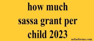 how much sassa grant per child 2023
