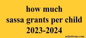 how much sassa grants per child 2023-2024