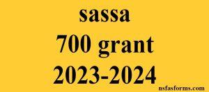 sassa 700 grant 2023-2024
