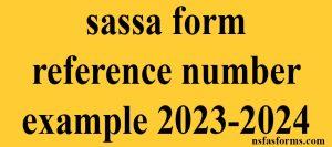 sassa form reference number example 2023-2024