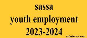 sassa youth employment 2023-2024