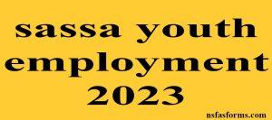 sassa youth employment 2023